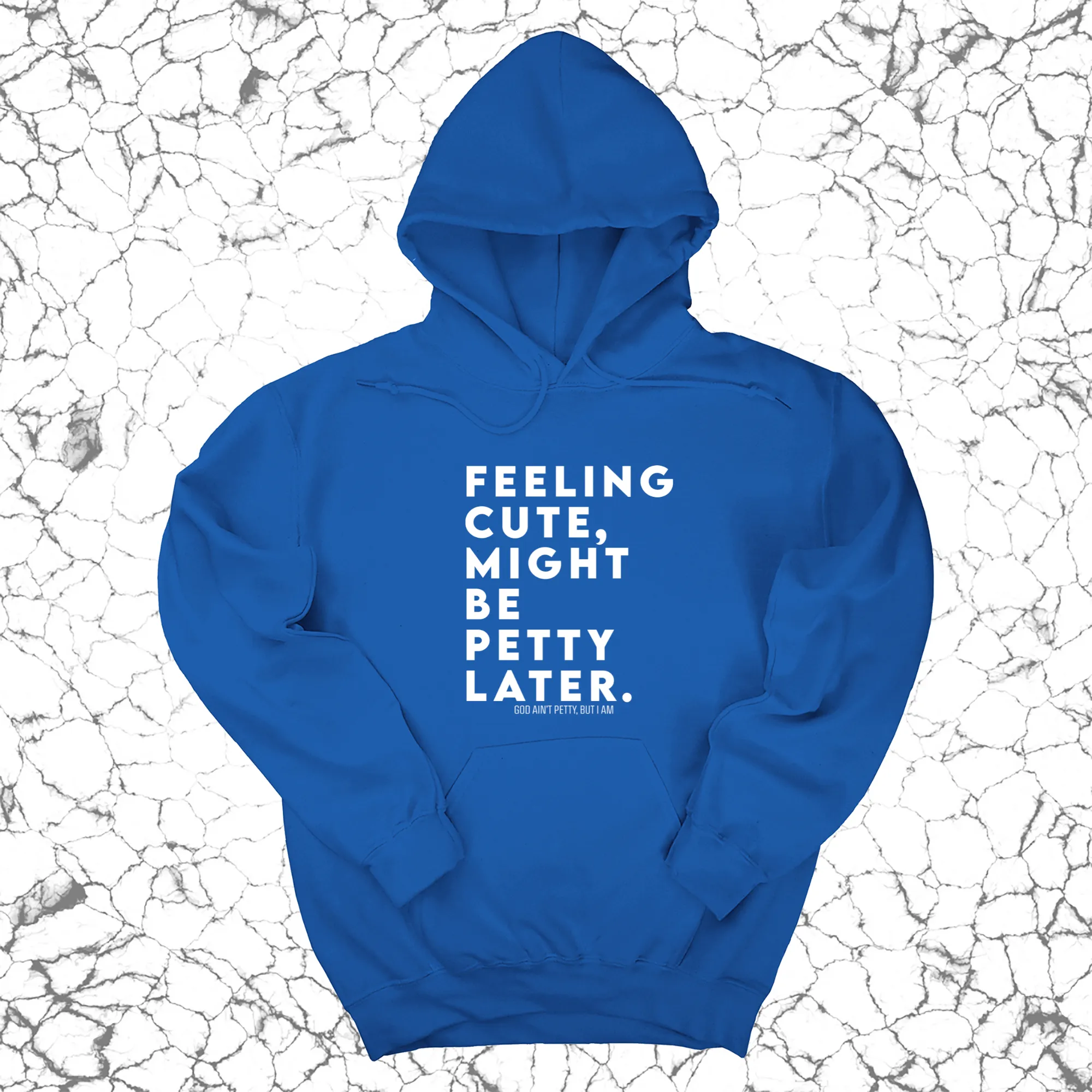 Feeling cute, might be petty later Unisex Hoodie