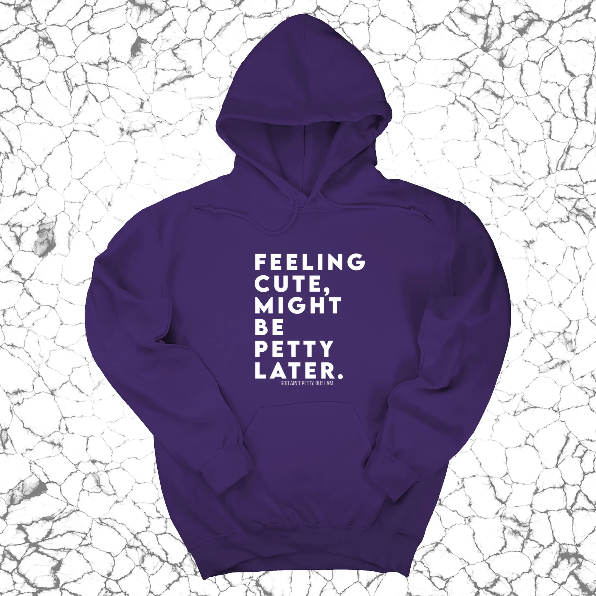 Feeling cute, might be petty later Unisex Hoodie